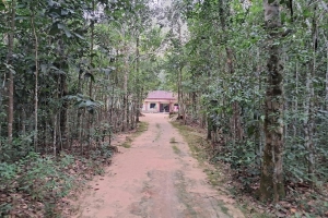 বড়লেখায় মেয়ের শ্বশুরবাড়িতে গিয়ে খু/ন হলেন বাবা