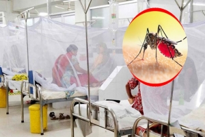 সিলেট বিভাগে ডেঙ্গুতে আ'ক্রান্ত আরও ৮ জন সিলেট বিভাগে ডেঙ্গুতে আ'ক্রান্ত আরও ৮ জন
