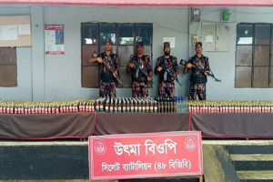 সিলেট সীমান্তে বিজিবির অভি*যানে ভারতীয় ম দ উদ্ধার