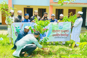 ওসমানীনগরে তালামীযের বৃক্ষরোপণ কর্মসূচি পালিত
