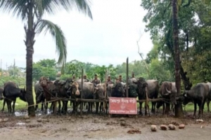 সিলেটে প্রায় ৭০ লক্ষ টাকার চো রা চা লা নী পন্য আ ট ক