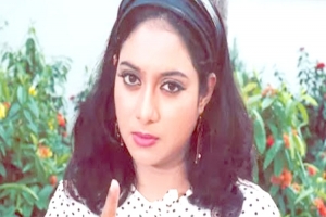 আমার আর সংসারী হওয়ার ইচ্ছা নেই