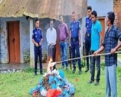 কুলাউড়ায় ৮ লাখ টাকার গাঁজা পুড়িয়ে ধ্বংস