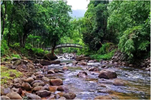 অপরূপ সৌন্দর্যের লক্ষণছড়া