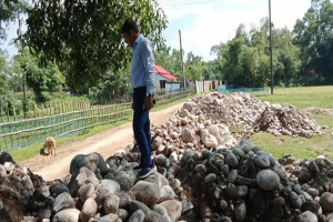 গোয়াইনঘাটে আড়াই হাজার ঘনফুট সাদা পাথর জ*ব্দ