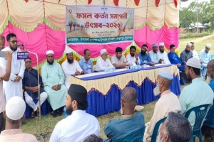 জগন্নাথপুরে রে ক র্ড পরিমাণ ধান উৎপাদন