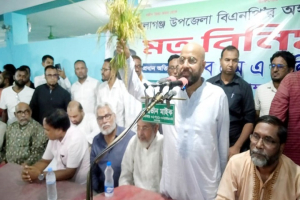 কোনো ষড়*যন্ত্রই বিএনপির   বিজয় ঠে*কাতে পারবে না