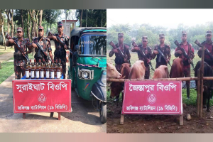 জৈন্তাপুর ও কানাইঘাটে ১০ লাখ টাকার ম*দ ও গরু জ*ব্দ
