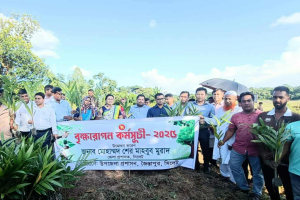 জৈন্তাপুরে বৃক্ষরোপন অভিযানের উদ্বোধন করলেন জেলা প্রশাসক