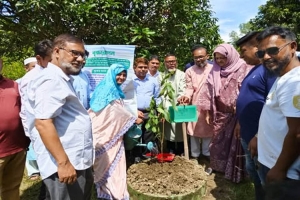 এসওএস চিলড্রেনস ভিলেজ এর গাছের চারা ও শিক্ষা উপকরণ প্রদান এসওএস চিলড্রেনস ভিলেজ এর গাছের চারা ও শিক্ষা উপকরণ প্রদান