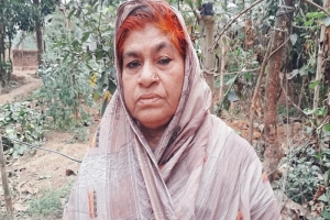 স্বীকৃতি না পেয়েই চলে গেলেন বীরাঙ্গনা জয়গুন স্বীকৃতি না পেয়েই চলে গেলেন বীরাঙ্গনা জয়গুন