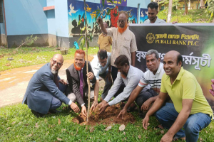 গোলাপগঞ্জ সরকারি ডিগ্রি কলেজে পূবালী ব্যাংকের বৃক্ষরোপণ কর্মসূচি