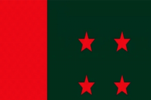 আওয়ামী লীগসহ ১১টি দলের কার্যক্রম নি ষি দ্ধ চেয়ে রিট প্র ত্যা হা র