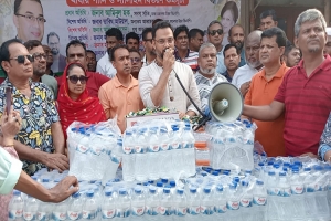 আ.লীগ দেশের গণতন্ত্রকে মাটিচাপা দিয়েছে : আমিনুল হক 