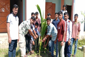 গোয়াইনঘাটে ছাত্রদল ও কলেজ ছাত্রদলের যৌথ উদ্যোগে বৃক্ষরোপণ