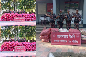 সিলেট সীমান্তে বিপুল পরিমাণ ভা র তীয় পণ্য আ ট ক