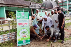 সবাইকে বৃক্ষরোপণে এগিয়ে আসতে হবে- এমপি মুফতি আবুল হাসান সবাইকে বৃক্ষরোপণে এগিয়ে আসতে হবে- এমপি মুফতি আবুল হাসান