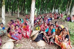 গোয়াইনঘাটে গুলনী চা-শ্রমিকদের তৃতীয় দিনের কর্মবিরতি গোয়াইনঘাটে গুলনী চা-শ্রমিকদের তৃতীয় দিনের কর্মবিরতি
