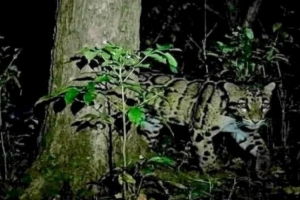 গণভোটে জনগণের রায়কে সম্মান জানানোর আহ্বান শফিকুর রহমানের গণভোটে জনগণের রায়কে সম্মান জানানোর আহ্বান শফিকুর রহমানের