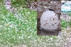 বিশ্বনাথে  শিলাবৃষ্টি, ক্ষতিগ্রস্ত হাজারো ঘরবাড়ি ও ফসল