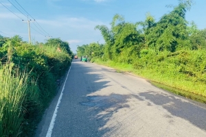 ঝোপঝাড়ে ঢেকে যাচ্ছে সিলেট-জকিগঞ্জ সড়ক ঝোপঝাড়ে ঢেকে যাচ্ছে সিলেট-জকিগঞ্জ সড়ক