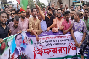 বিশ্বনাথে বিএনপির বিজয় মিছিল