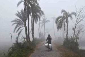 জানুয়ারিতে ২-৩টি মৃদু থেকে মাঝারি শৈত্যপ্রবাহের পূর্বাভাস
