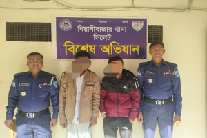 বিয়ানীবাজারে ১০০ পিস ইয়া*বাসহ দুই মাদ*ক ব্যবসায়ী গ্রেফ*তার