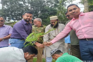 পরিবেশ রক্ষায় মাধবপুরে বিভিন্ন প্রজাতির গাছ লাগাচ্ছে প্রশাসন
