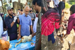 শাবিপ্রবিতে বিনামূল্যে র‌্যাবিস টিকাদান কর্মসূচি