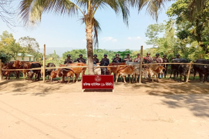 জৈন্তাপুর ও কানাইঘাটে ৩৫ লক্ষ টাকার চো*রাই পণ্য জ*ব্দ