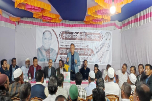 ঘরে ঘরে ধানের শীষের পক্ষে গণজোয়ার তৈরি হয়েছে: এমরান চৌধুরী