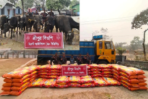 সিলেট সীমান্তে ১ কোটি  ১৭ লাখ টাকার চো*রাচালানি মালামাল জ*ব্দ