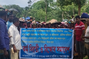 গোয়াইনঘাটের গুলনী চা-বাগান শ্রমিকদের ক*র্মবিরতি ও বি*ক্ষোভ