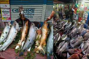 জগন্নাথপুরে মাছের মেলায় একদিনেই কোটি টাকার কেনাবেচা