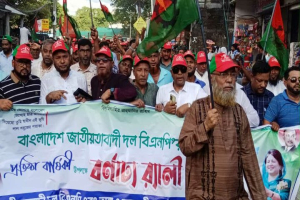 শহীদ জিয়ার গড়া দল বিএনপির হাতেই দেশের স্বাধীনতা সার্বভৌমত্ব নিরাপদ : হাকিম চৌধুরী