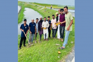 মাধবপুরের বুল্লা-ছাতিয়াইন সড়কে এক হাজার তালের বীজ রোপণ