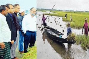 বরাম হাওরে বোরো ধান কাটার অগ্রগতি পরিদর্শনে সুনামগঞ্জের জেলা প্রশাসক