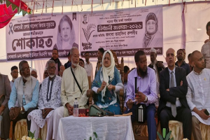 ধানের শীষ বিজয়ী হলে এ বিজয় হবে জনগণের বিজয়  - তাহসিনা রুশদির লুনা