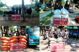 সিলেট সীমান্তে ৩৪ লাখ ৮০ হাজার টাকার মালামাল জব্দ সিলেট সীমান্তে ৩৪ লাখ ৮০ হাজার টাকার মালামাল জব্দ