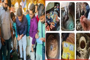 চিংড়িতে ক্ষ/তিকর জেলি, ভিআইপি বেকারিতে নানা অ/নিয়ম চিংড়িতে ক্ষ/তিকর জেলি, ভিআইপি বেকারিতে নানা অ/নিয়ম