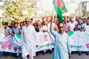 ধানের শীষের বিজয় নিশ্চিত করতে ঐক্যবদ্ধভাবে কাজ করতে হবে: কয়ছর