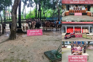 সিলেট সী'মান্তে ৯০ লাখ টাকার চো'রাই পণ্য জ'ব্দ সিলেট সী'মান্তে ৯০ লাখ টাকার চো'রাই পণ্য জ'ব্দ