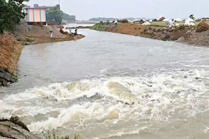 বাঁধ ভেঙে এবার ডুবল বোয়ালা হাওরের ফসল