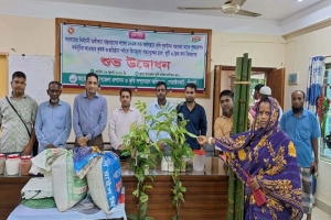 গোয়াইনঘাটে কৃষকদের মাঝে বিনামূল্যে গাছের চারা বিতরণ গোয়াইনঘাটে কৃষকদের মাঝে বিনামূল্যে গাছের চারা বিতরণ