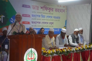 ভারতের কাছে দেশ ইজারা দিয়েছিল আওয়ামী লীগ: জামায়াত আমির