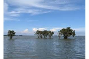 হাওরাঞ্চলের উন্নয়নে মন্ত্রী  চান সুনামগঞ্জবাসী