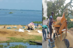 ধান-খড় সংগ্রহে ব্যস্ত বালাগঞ্জের কৃষক