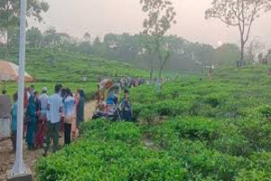বনকলাপাড়া চা বাগানের পাশ থেকে গলা*কা*টা অবস্থায় তরুণী উদ্ধা*র