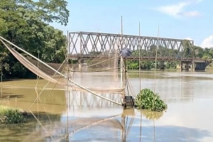 ওসমানীনগরে নির্বিচারে পোনা মাছ শিকারে প্রজনন ব্যা হ ত
